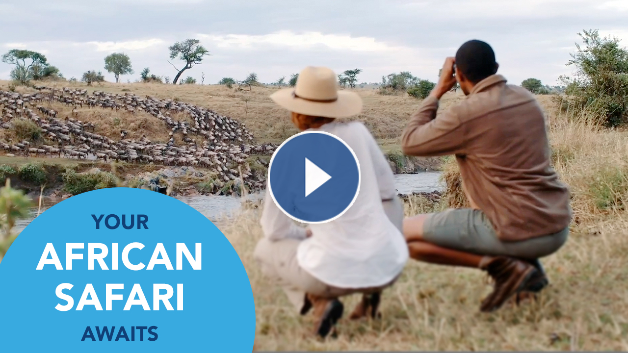African Safari